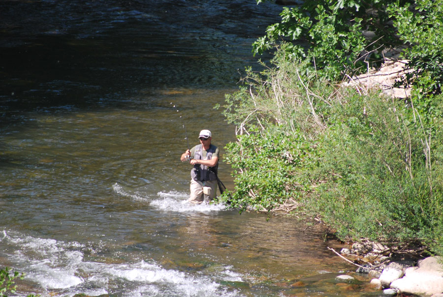 Clasificaci&oacute;n 1&ordf; y 2&ordf; Jornada Campeonato Navarro Salm&oacute;nidos Lance